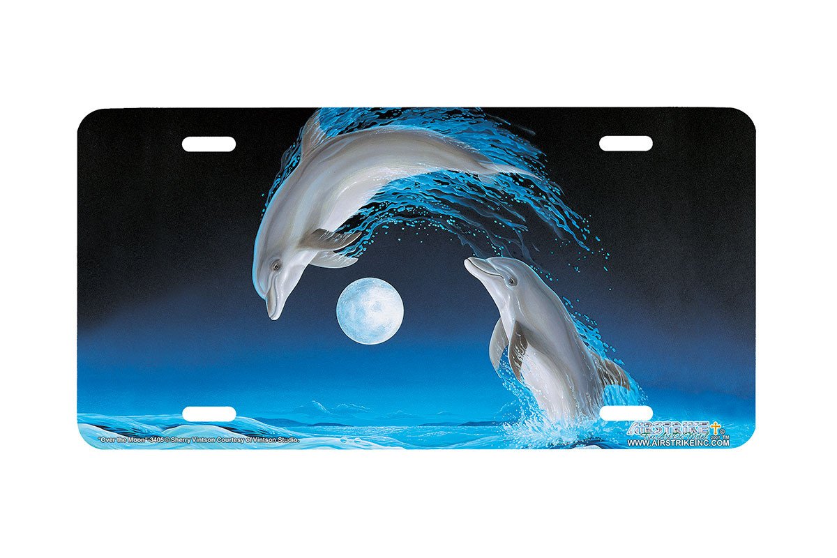 Dolphin license plate bracket